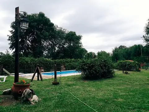 Semillero 100
