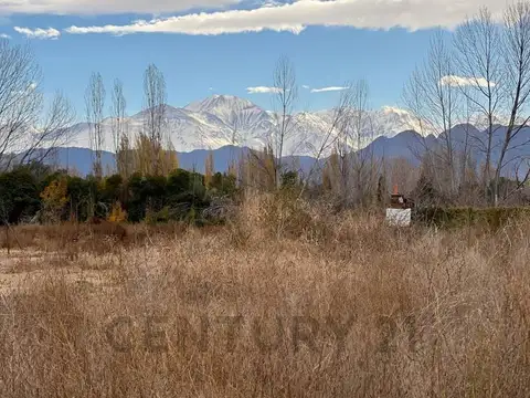 Lote de 1.000 m² en Vistalba, Luján de Cuyo