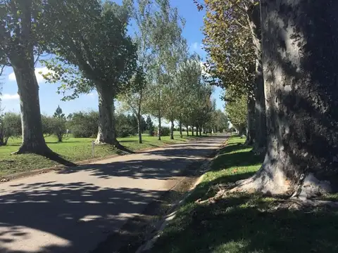 La Rinconada