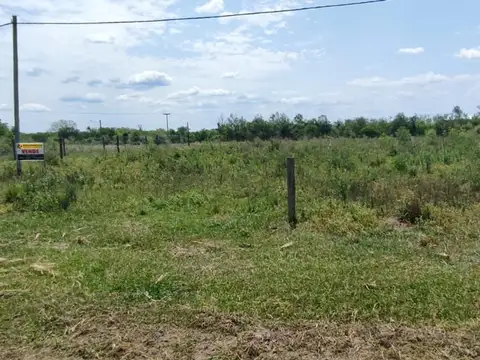 El Agricultor 100