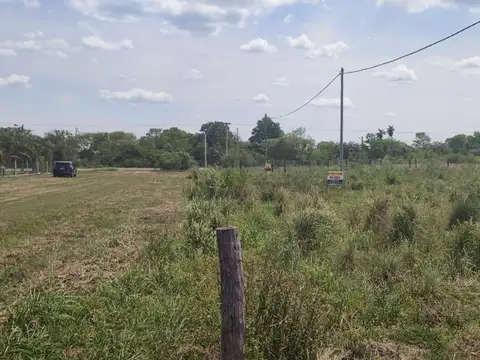 El Agricultor 100