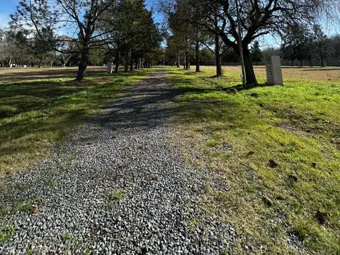 Terreno en Venta de 800,0 m2