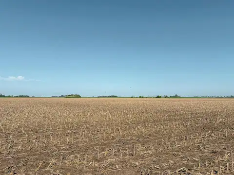 Excelente campo de 98 has en el Sur de Santa Fe