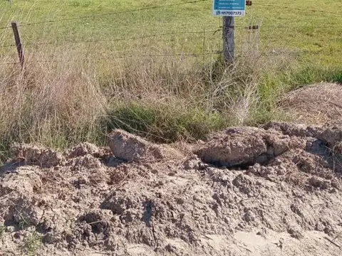Terreno - Venta - Argentina, Domselaar