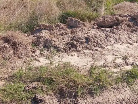 Terreno en Venta en Domselaar, USD 22.000