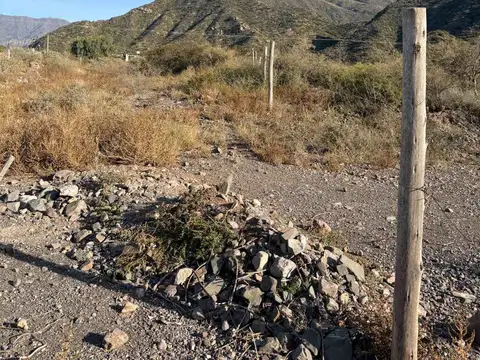 Camino al Cerro Arco