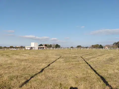 LOTE "LOS VASQUITOS" 1/3