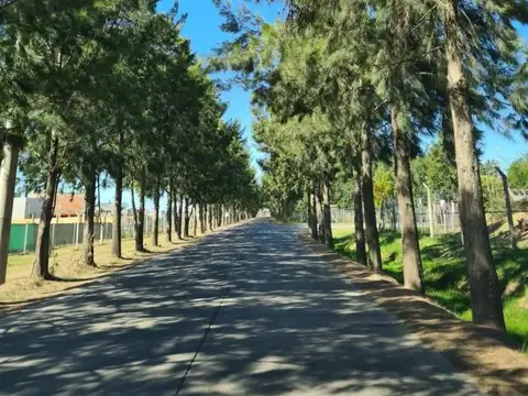 Excelente lote