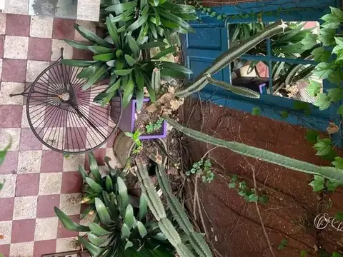 Local en Alquiler en Palermo Soho, $ 3.600.000