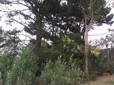 Terreno - Venta - Las Gaviotas