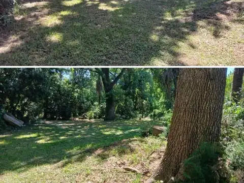 Miero  al 3900