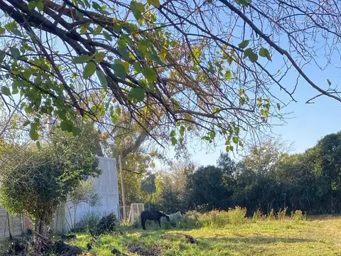 Terreno en Venta 21  mts Frente