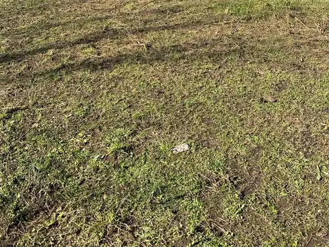 Terreno en Venta de 600,0 m2