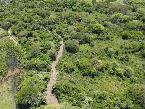 Campo en Venta de 34  ha