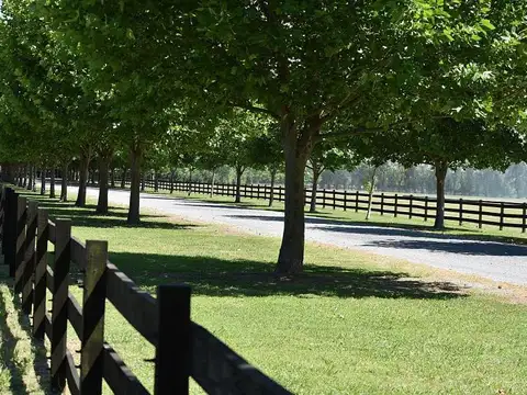 Technopolo Resort y Country Club