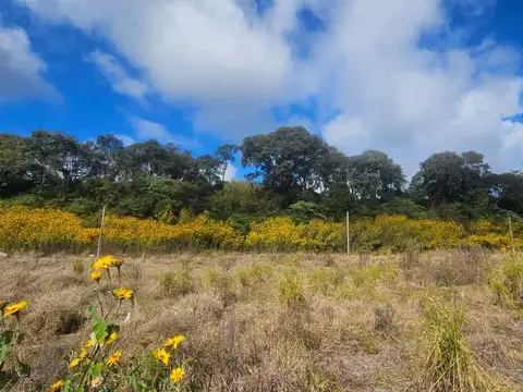 Terreno en Venta en Los Alisos, $ 18.000.000