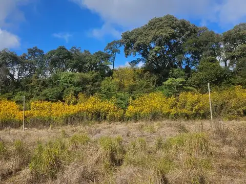 Terreno en Venta en Los Alisos, $ 18.000.000