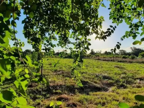 VENTA DE AMPLIO  LOTE  DE 1565m2  C/ESCRITURA-TORTUGUITAS