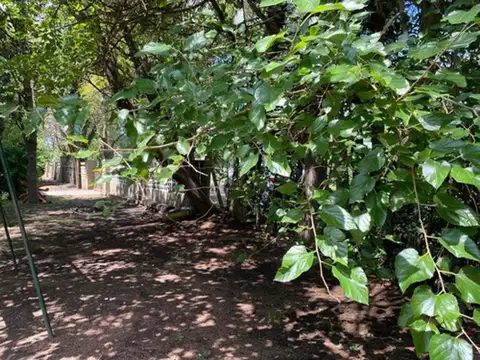 10x30 Lote En Venta