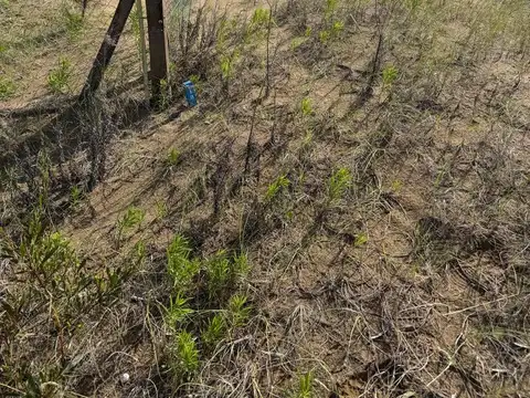 Terreno en Venta de 995,0 m2