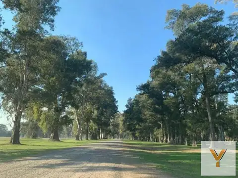 Terreno en venta -1000mts2 totales - Los Tres Pinos, General Rodríguez