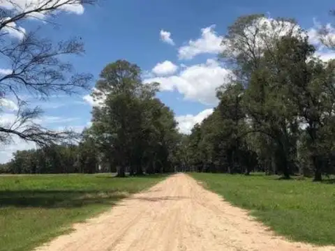 Terreno en Venta 50  mts Fondo