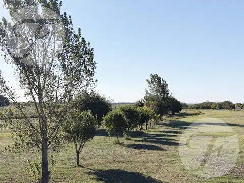 LOTEO LAGO DE OBLIGADO – SAN PEDRO  | Financiación en dólares | Escritura inmediata