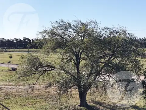 Lago de Obligado