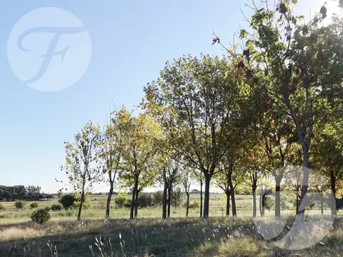 LOTEO LAGO DE OBLIGADO – SAN PEDRO  | Financiación en dólares | Escritura inmediata