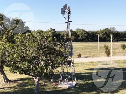 Terreno en Venta 50  mts Fondo