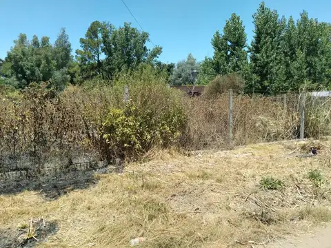 Carola Lorenzini 5400