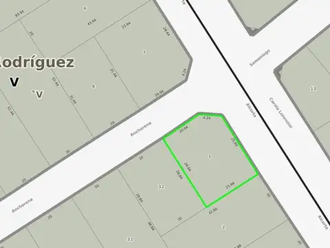 Carola Lorenzini 5400