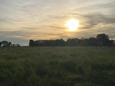 Terreno en Venta de 2000,0 m2