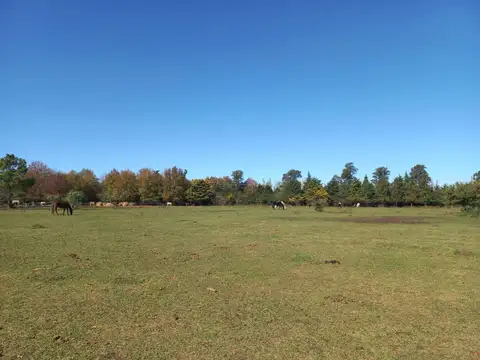 Terreno en Venta en Countries y Barrios Cerrados en Campana, USD 80.000