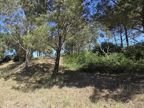 Ecuestre 200