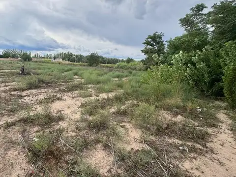 Venta de Lote en San Martin Mendoza