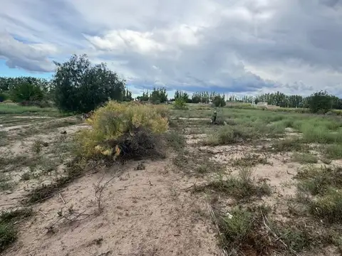 Terreno en Venta de 9026,0 m2