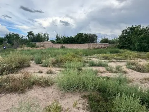 Venta de Lote en San Martin Mendoza