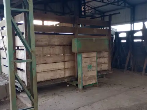 Campo ganadero en producciòn