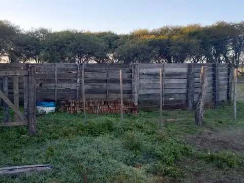 Campo ganadero en producciòn