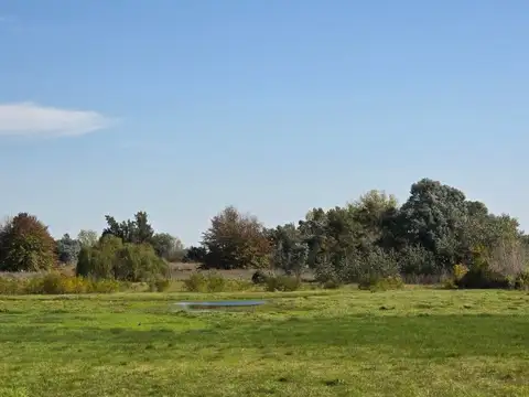 VENTA CAMPO CHACRA 8HAS CASA OPEN DOOR LAGUNA POLO