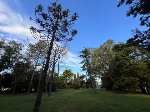 Terreno en Venta 10  mts Frente