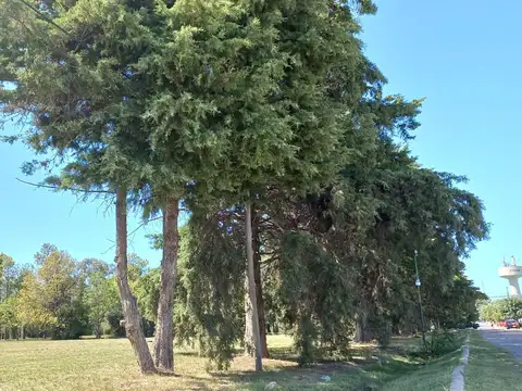 VENTA Lote en Quintas de Marquez - 138 y  490 - Gorina, La Plata