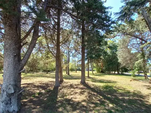 Terreno en Venta de 457,0 m2