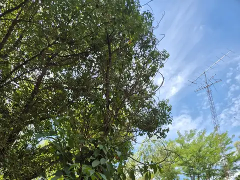 Regimiento de Patricios 3900