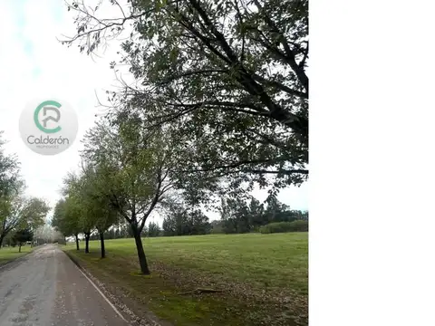 Terreno en Venta de 2000,0 m2