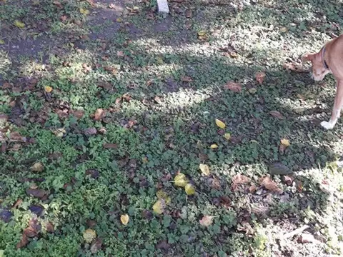 Casa 5 ambientes con 4 baños