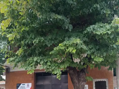 Muy linda casa con deposito y jardin en excelente ubicacion