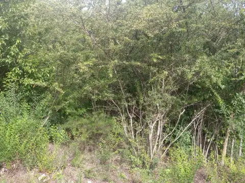 Terreno en Venta en Casa Grande, USD 11.999