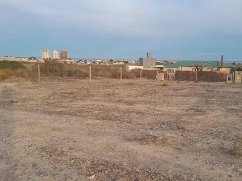 Parcela 19